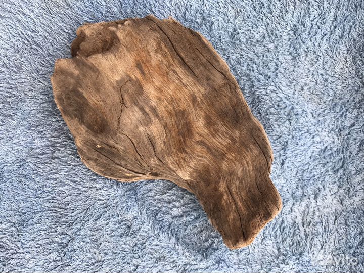 Дрифтвуд (древесина из моря)