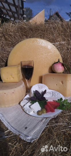 Молоко коровье домашнее