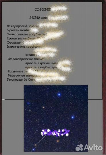 Подарочный сертификат, фамильный диплом