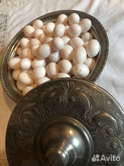 Яйца голубей, голубиные яйца