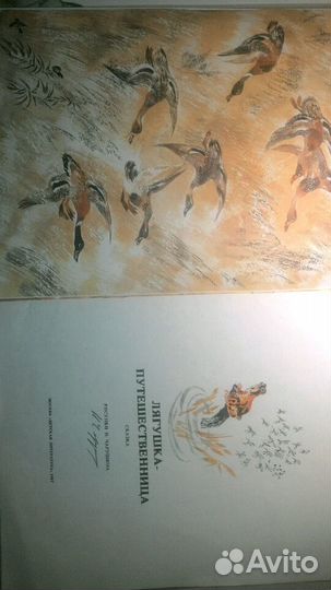 Автограф художника-анималиста Чарушина Н. Е