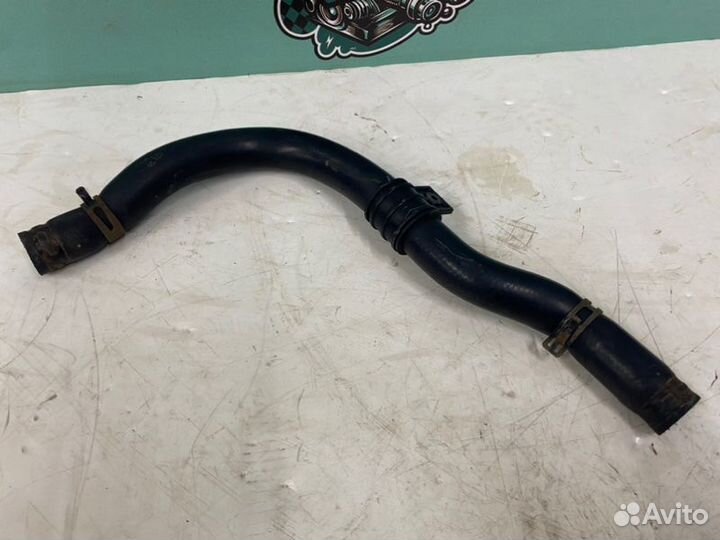 Патрубок радиатора Kia Optima TF 2.4 G4KJ 2012