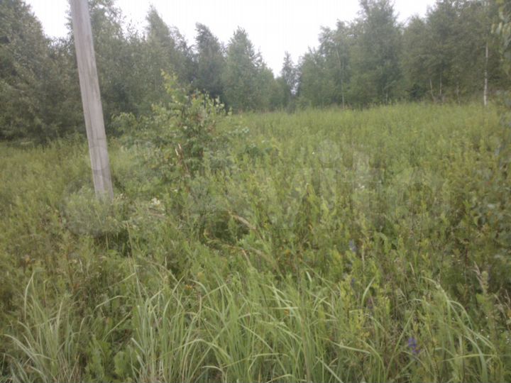 Участок 10 сот. (ИЖС)