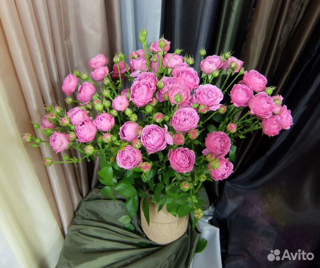 Пионовидные кустовые розы