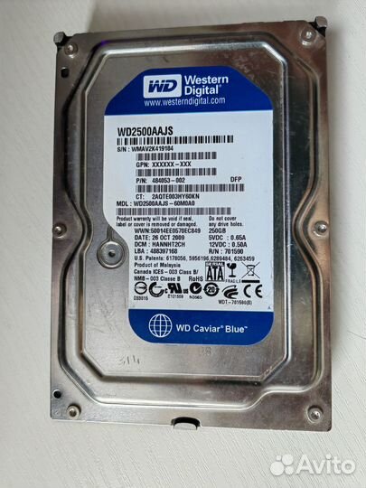 Жесткий диск western digital wd2500aajs 250 гб
