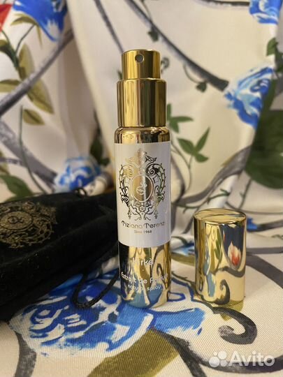 Kirke Tiziana Terenzi