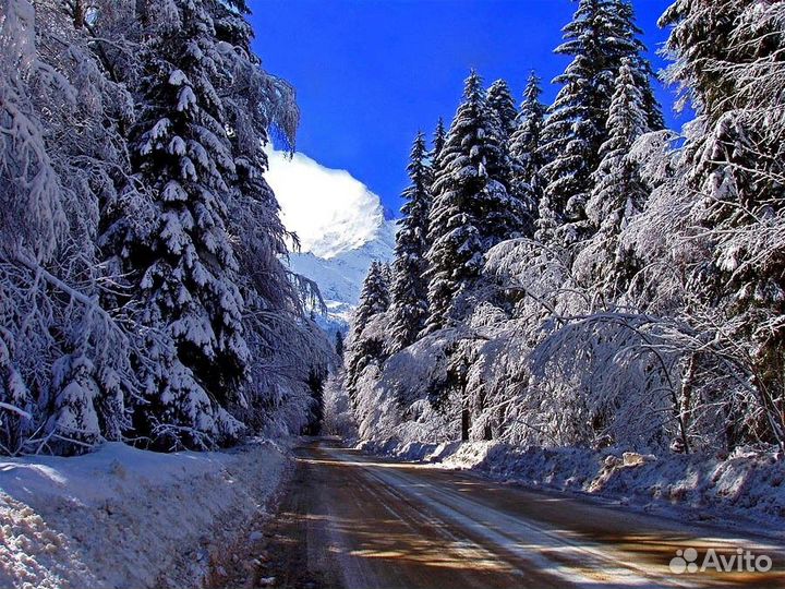 Новый год в Домбае, путешествие, праздники