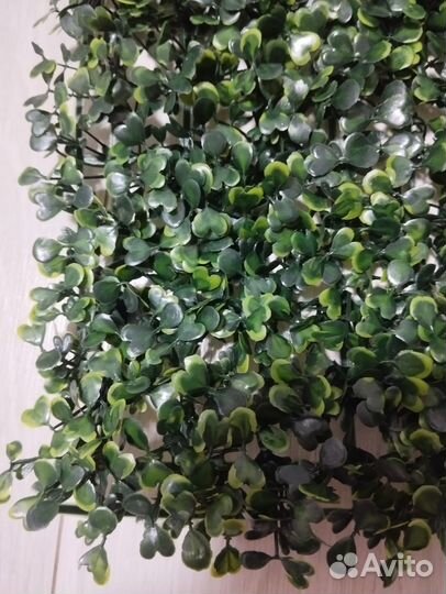Искусственная трава самшит