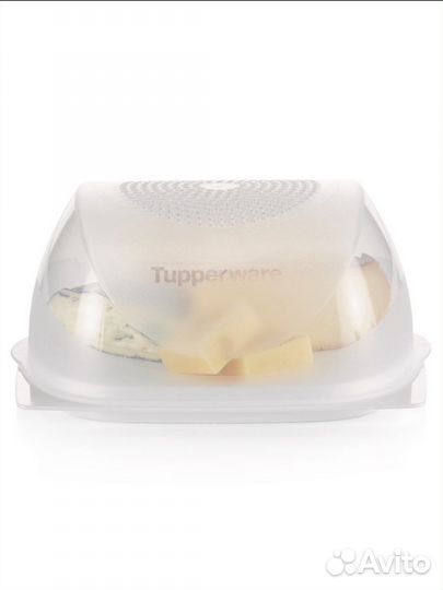 Tupperware Сырница Малая (20,5 х 20,5 х 9,5 см)