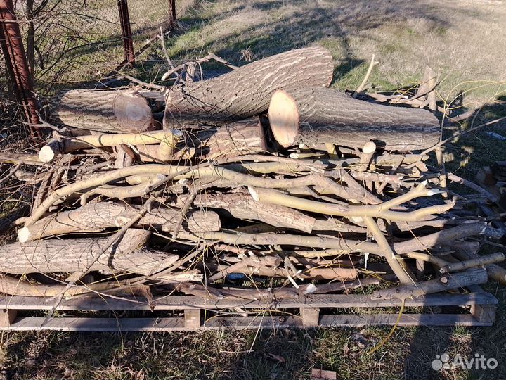 Дрова бесплатно