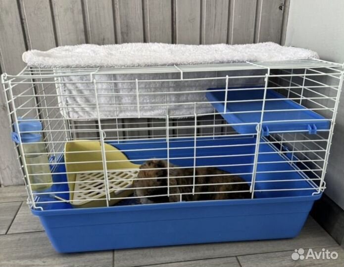 Zooгостиница для грызунов и птиц