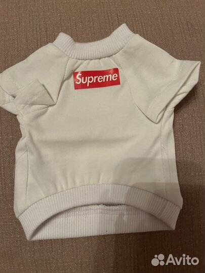 Костюм для кошки