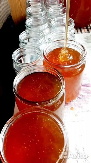 Мёд со своей пасеки, мёд в сотах