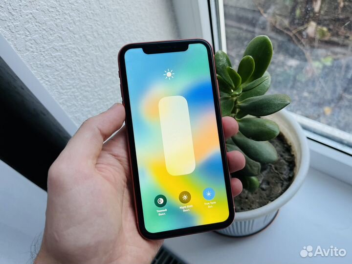 iPhone Xr, 256 ГБ
