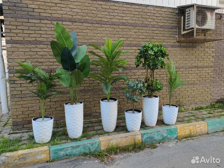 Фикус, пальма, бамбук, реалистичные деревья, от