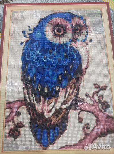Сова алмазная картина