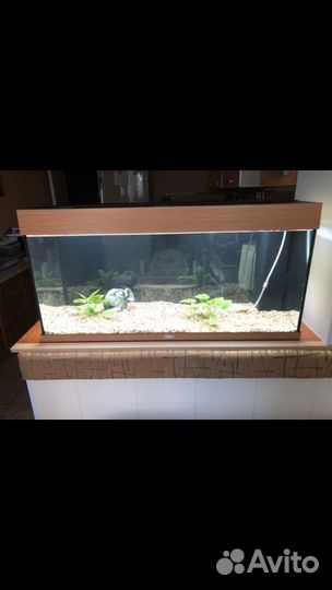 Аквариум фирменный jawel RIO-180