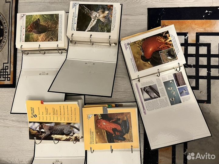 В мире дикой природы. Энциклопедии. 5 томов