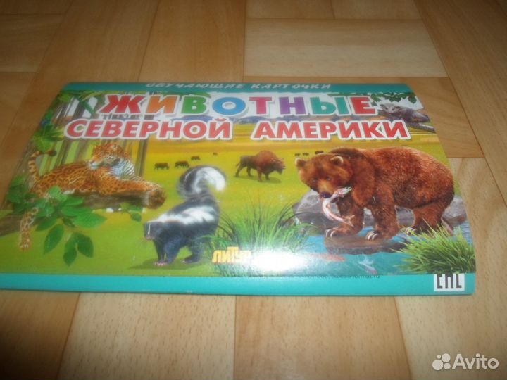 Карточки новые