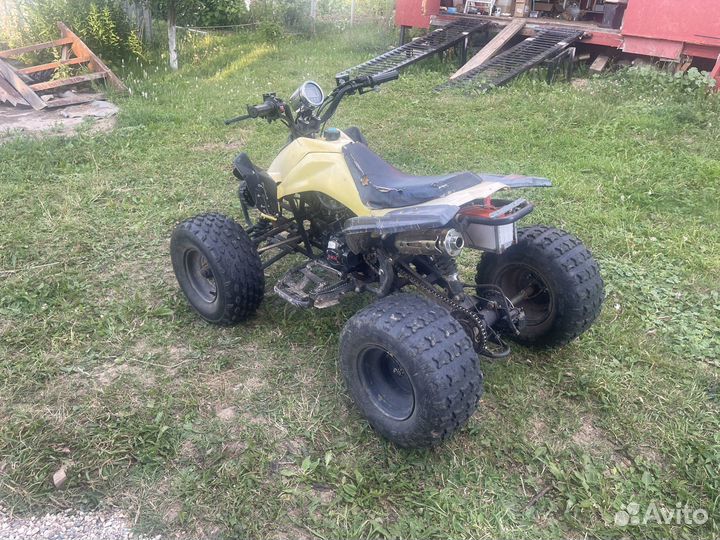 Рысь 110