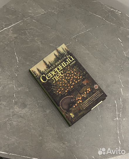Северный лес