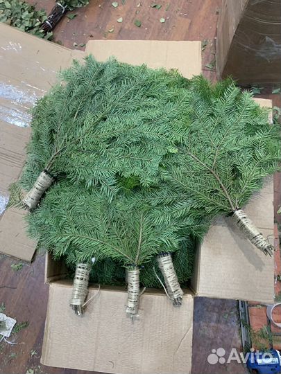 Веники пихтовые для здоровья,коробкой