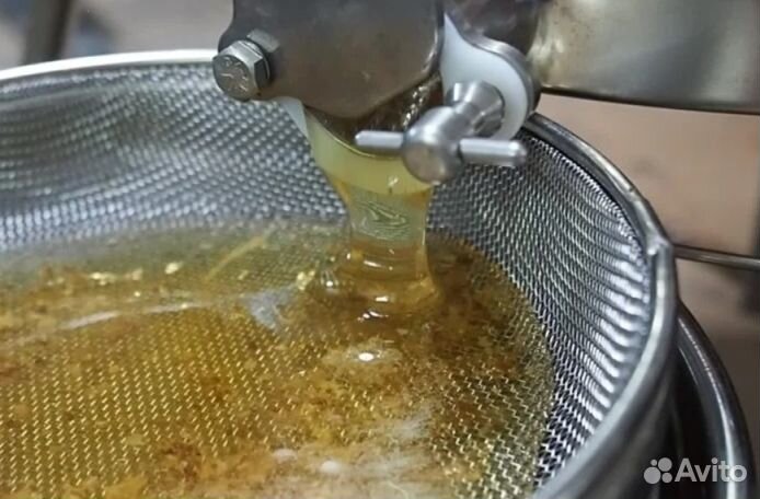 Мед натуральный Алтайский опт. минимально 16 кг