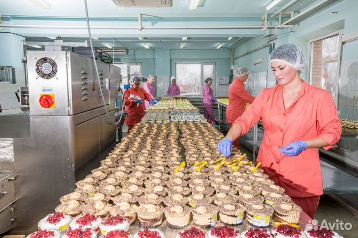 Упаковщик на кондитерскую фабрику Вахта питание