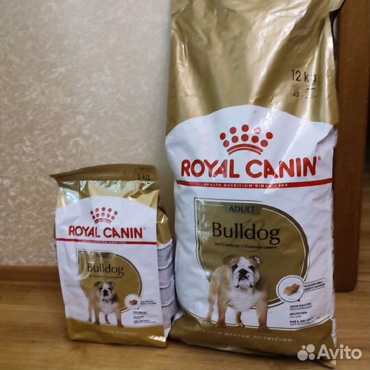 Сухой корм для собак