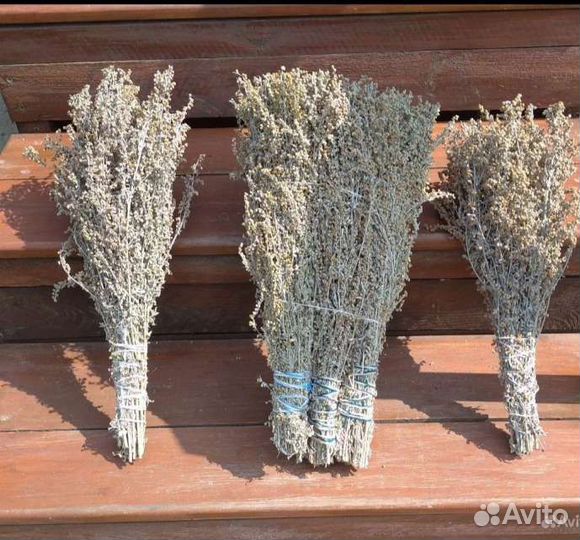 Веники для бани и травы в пучках