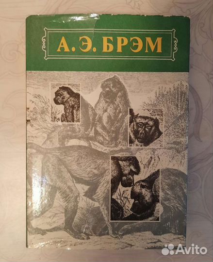 Книги Брэм А. Э