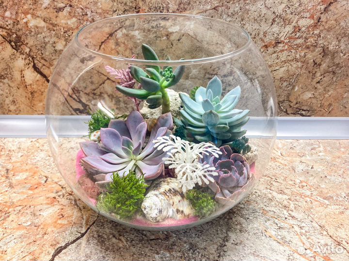 Флорариум ваза цветы букет подарок суккуленты