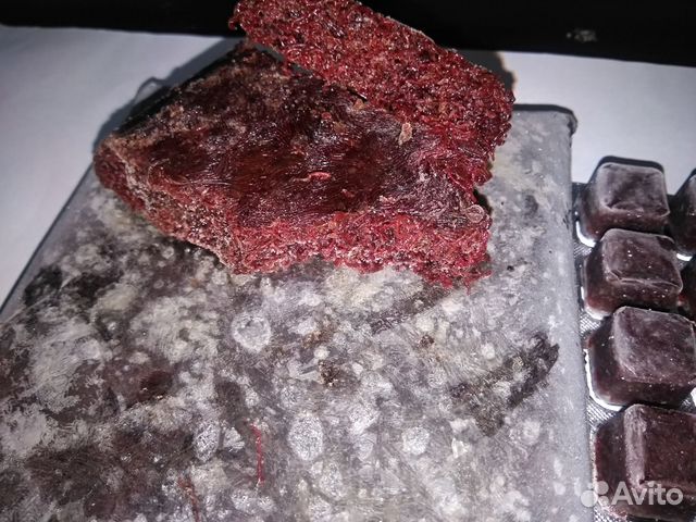 Корм для рыбок