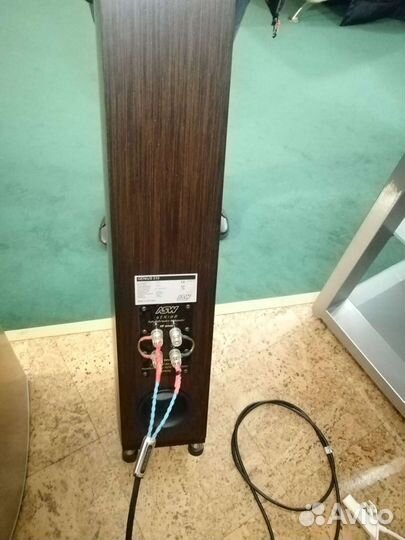 Акустические системы ASW Genius 310