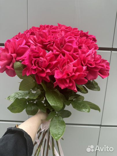 Французская вывернутая Роза, Хит продаж