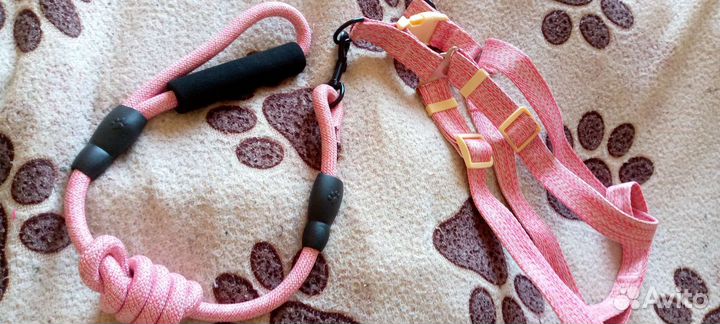 Шлейка с поводком
