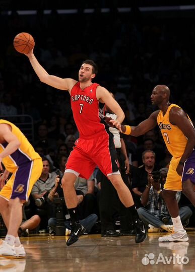 Оригинальное NBA Jersey,Toronto Raptors