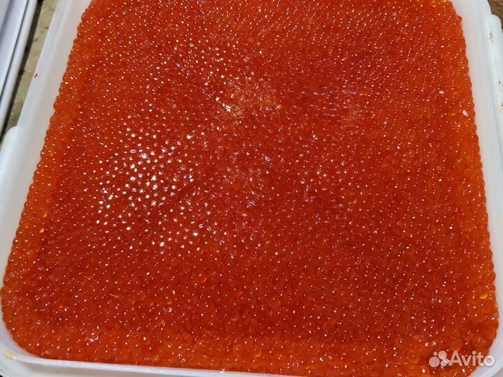 Икра красная Кеты Охотск