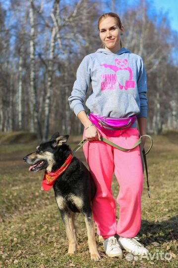 Славный Макс верит в чудо