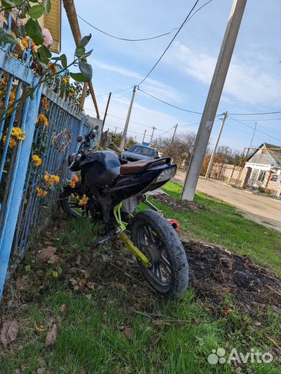 Альфа в разбор