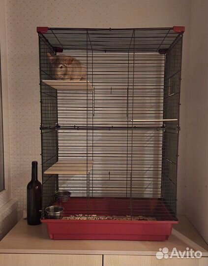 Домик клетка для грызунов