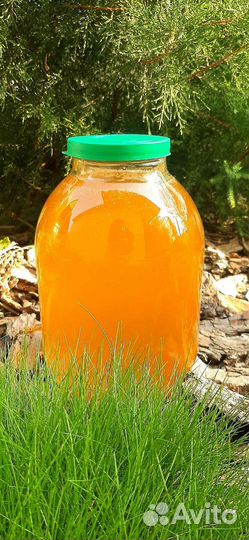 Мед подсолнечный