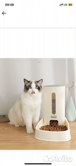 Автоматические поилка и кормушка для кошек и собак