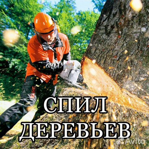 Спил деревьев Кемерово объявление продам