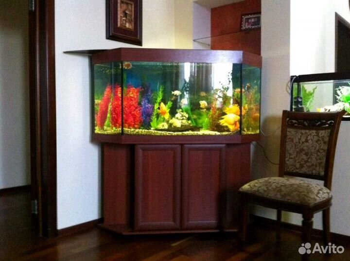 Угловой аквариум на 500 литров с тумбой
