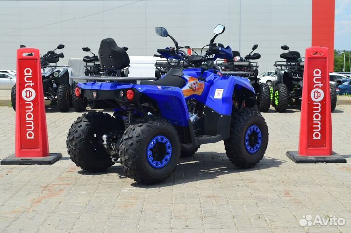 Квадроцикл Motax ATV Grizlik 250 Ultra (Гризлик)