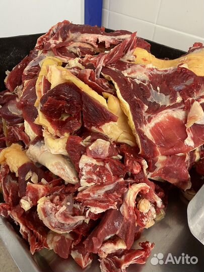 Мясо говядины котлетное на фарш