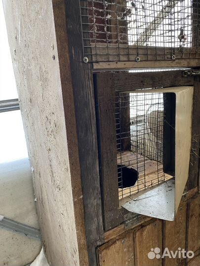 Клетки для кроликов, птицы
