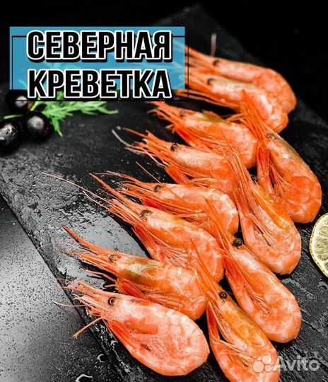 Северная креветка