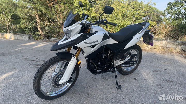 Racer Ranger RC300-GY8